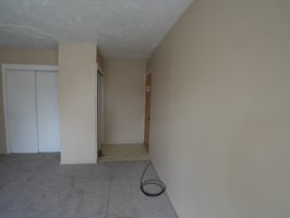 23316784