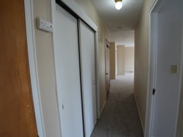 23316782