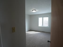 23316776