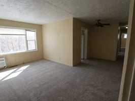 23316769