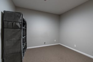23317166