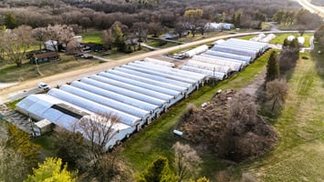23317532