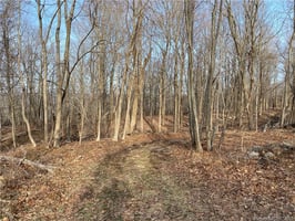 23324515