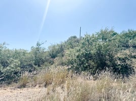 31167624