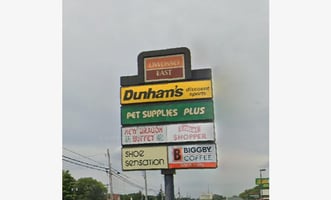 23441466