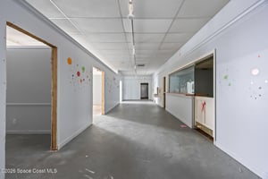 31843781