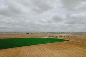 23347253