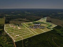 23347041