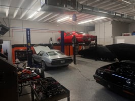 23366380