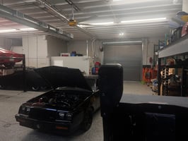 23366379