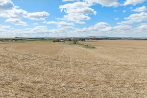 28927431