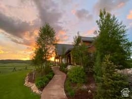 23389387