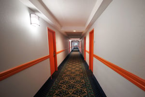 23851980