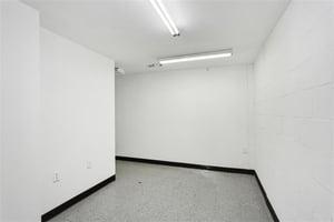 23396203
