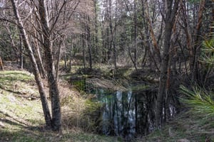 23453341
