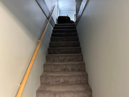 23398549