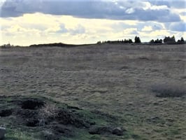 23406632