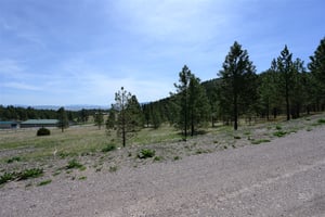 23407623
