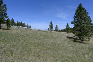 23407658