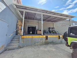 29469584
