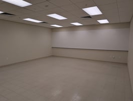 29068013