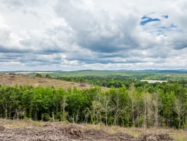 34073514