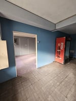 23445404