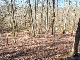 34098867