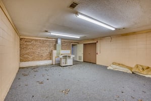 23459407