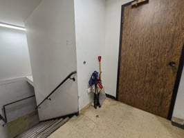 23494229