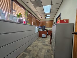 23494242