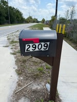 23503931