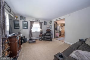23503833