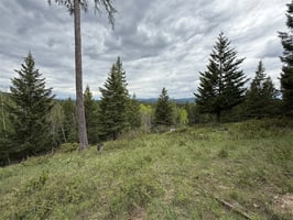 31653214