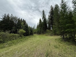 24254972