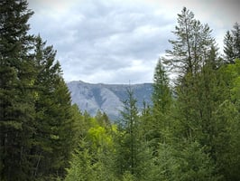 31653252