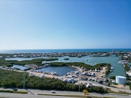 23524844