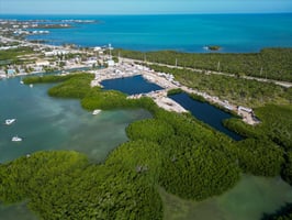 23524835