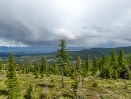 23525251