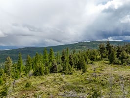 23525260