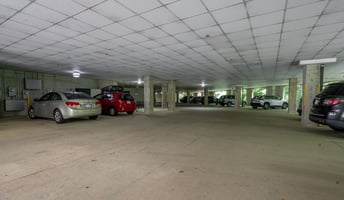 23544249