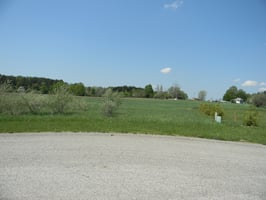 23550081