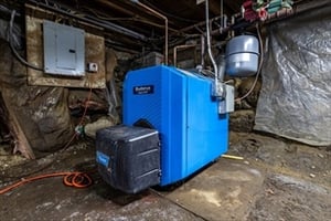 23550428