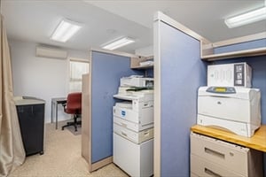 23550420