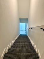 23550729