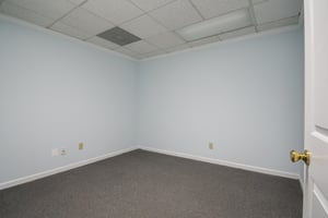 23559459