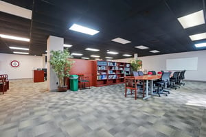 23572591