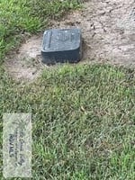 23576163