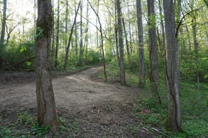 23633575