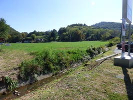 23684203
